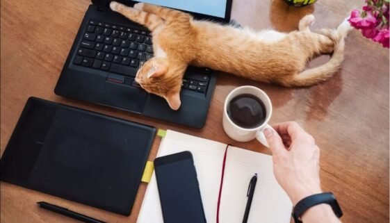 Mastering Remote Work