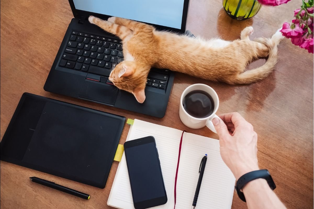 Mastering Remote Work